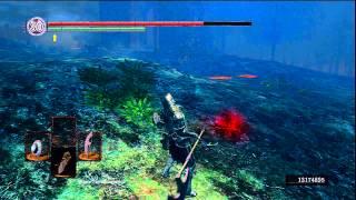 Dark Souls PvP: No Respect for the Forest Hunters, pt 2