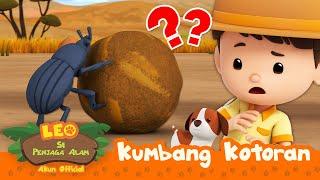 Menyusun Bola KOTORAN?!  | Kumbang Kotoran | Leo Si Penjaga Alam | #minisode