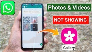 WhatsApp photos and videos Not Showing In Gallery 2023