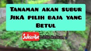 TIPS PEMILIHAN BAJA ( Pilih Mengikut Keperluan Pokok) - Little kebun