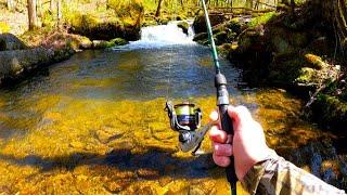 Wade Fishing East Tennessee Creeks & Rivers for  Wild Trout