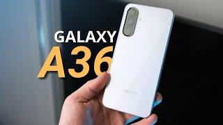 Recensione Galaxy A36: al giusto prezzo sarà una certezza con 6 anni di aggiornamenti