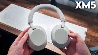 Sony WH-1000XM5 - The BEST Noise Cancelling Experience!