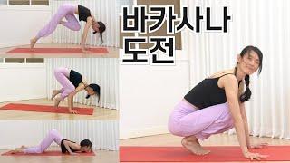 Bakasana Tutorial for Beginners