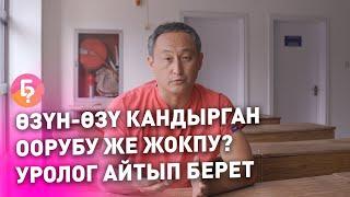 КЫСКА-НУСКА. Мастурбация оорубу?