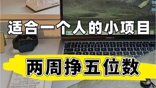 2023年最新灰色网赚赚钱项目 这是一个适合新手赚钱的网上赚钱项目 每天2小时 月入3-20W新手小白可做 具有可复制性 收入翻倍！