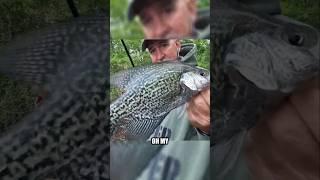 Scotty Gills finds a slab at Pymatuning on Cast Cray Baits! CastCray.com#fun #fishing #fyp #crappie