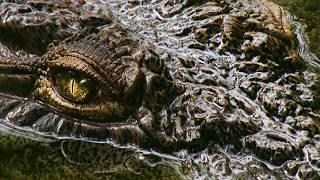 The monster of Lake Tanganyika