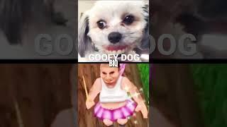 GOOFY DOG VS. FAT FAIRY!!! #cool #viral #capcut #edit #vs #amazing #funny #shorts