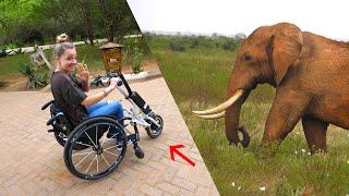 Can you Safari in a Wheelchair?! - Motorized Chair Mod!