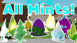 All mints showcased! (The Lawn)