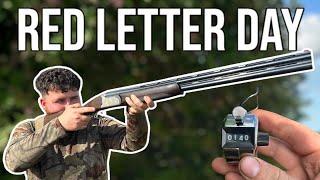 Pigeon Decoying Over Laid Wheat | Red Letter Day | 140+ Birds