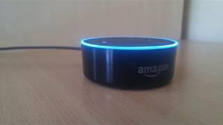 Alexa Lifehack: Sleep Right