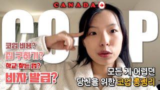  Ultimate Guide to Preparing for a Co-op in Canada | Visa, Budget, School, Housing – All in One!