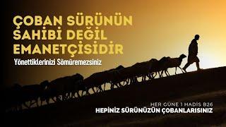 Sürünüzün Çobanlarısınız - Seyfettin Huca - Her Güne 1 Hadis B26