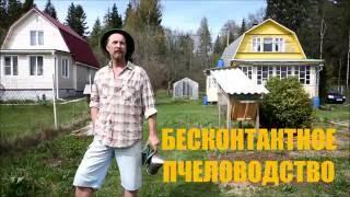 О колодном пчеловодстве