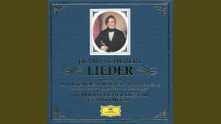 Schubert: Schwanengesang, D. 957 - Liebesbotschaft