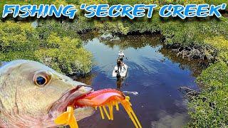 Skip casting Shrimp for Mangrove Jacks