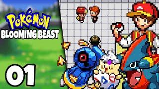 IN THIS FAN GAME YOU'RE A RETIRED GYM LEADER!| Part 1 | Pokémon Blooming Beast Fan Game Playthrough