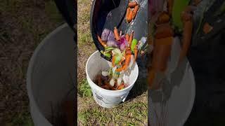 How to Start Composting