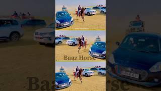 Baaz Horse  #Jaisalmerhorserace2024#JaisalmerRace#marumahotsav2024#Rajasthanhorserace