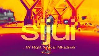 Mr Right -  Sijui ft Scar Mkadinali  | Official Music Video