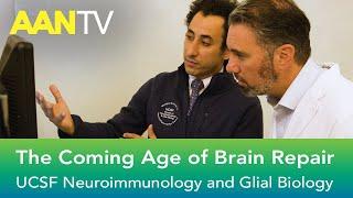 The Coming Age of Brain Repair: Remyelination & Neuroprotection in the Central Nervous System - UCSF