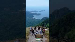 Buttercup Tiktok on top of Pico De Loro Summit with TEX Joiners 