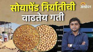 Soybean Bajarbhav: सोयाबीनची बाजारात पहिल्या तिमाहीत ४६ लाख टन विक्री | Agrowon