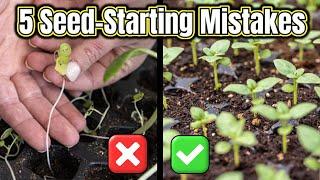 Avoid These 5 Seed-Starting Mistakes for Thriving Plants – #2 Is a Game Changer!