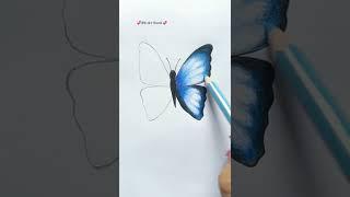 How to draw butterfly step by step 