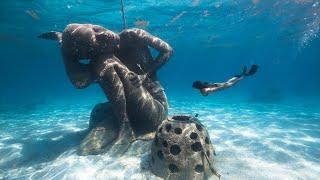 The Best Freediving in The Bahamas | Bahamas Dive Guides