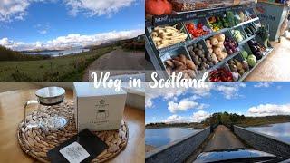 【vlog】my daily life ｜favorite vegetable store ｜our backyard tour