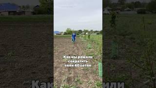 Подробности в описании. Питомник @sadovodklin #деревня #дача #огороднаподоконнике #огород