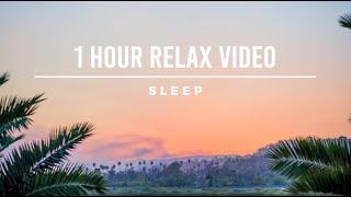 Relax Music Video | Sleep Music Video | RelaxTube