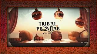 Mr Jammer - Tribal Punjab (Original Mix)