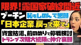 【もう限界！露国家破綻間近】プーチン大統領が恥をしのんで懇願「日本企業、戻って来て」資金枯渇、前のめりで停戦検討…トランプ次期大統領に仲介哀願