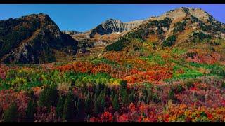 COLORFUL HARVEST 8K HDR (FUHD) 60P (DolbyVision)