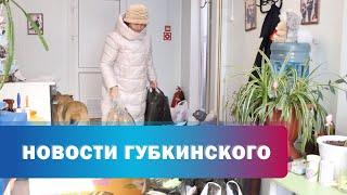 Благотворительная акция для приюта животных "Доброе сердце"