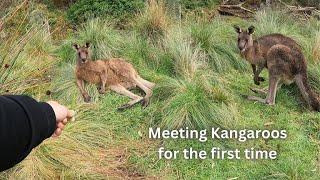 Mount Gambier Tour l Buhay Mekaniko l Vlog 28