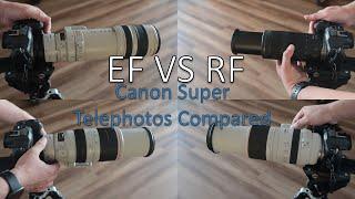 EF vs RF: Comparing 100-400/500mm Telephoto Lenses on Canon’s R Series Cameras