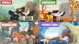 ALL Walking Wild Animals Size Comparison | Animal Animation