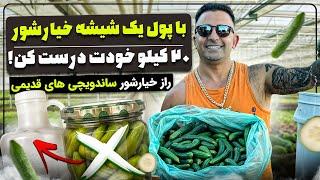 “The Secret to Probiotic Pickles: Gut Health & Fermentation Explained!خیار شور تخمیری جوادجوادی