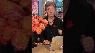 Leanne Kesler of the Floral Design Institute talks about Garden Roses. Direct