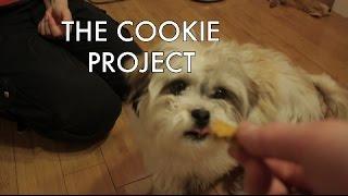 The Cookie Project - Doggie Biscuits