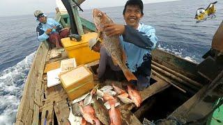 Panen Kakap Merah Babon #redsnapper #fishing #mancingmania