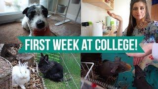 My First Week At College (animal management)