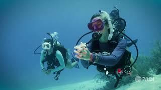 Become a PADI Dive Instructor