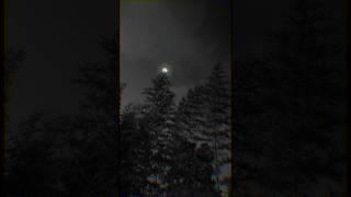Fallin for you | shorts | #musicclip | itz music official |