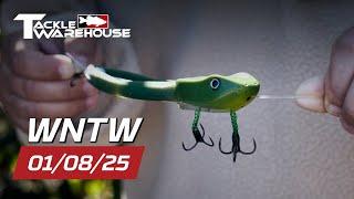 NEW Baits For A NEW YEAR Of Fishing! New Z-man, Yamamoto, Evergreen, SPRO, And MORE!